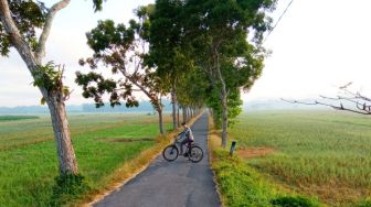 Bersepeda Ria Sambil Menikmati Indahnya Sunrise di Jalanan Desa