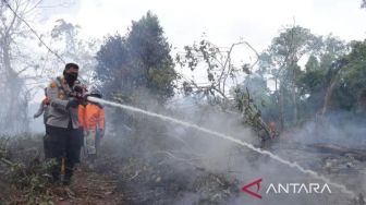 1.060,85 Ha Lahan Terbakar di Riau Selama 2022, BPBD: Sebabnya karena Cuaca dan Ulah Manusia