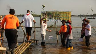 Ciptakan Lingkungan Sehat, Ganjar Tanam 3.500 Bibit Mangrove