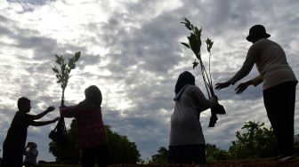 Mahasiswa peduli lingkungan bekerjasama dengan Forum Pintar Untuk Lingkungan Sekitar (RUMPUT LIAR) menanam bibit mangrove di Desa Lambadek, kabupaten Aceh Besar, Aceh, Minggu (7/8/2022). [ANTARA FOTO/Ampelsa/foc]