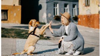 7 Hal yang Tanpa Disadari Mempengaruhi Usia Anjingmu