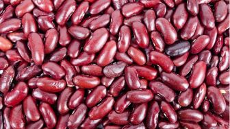 4 Manfaat Kacang Merah bagi Kesehatan, Salah Satunya Baik Untuk Ibu Hamil