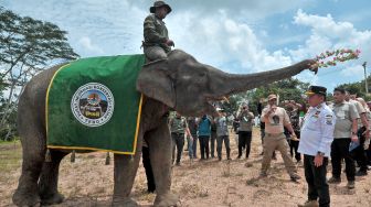Pusat Informasi Konservasi Gajah Tebo Diresmikan