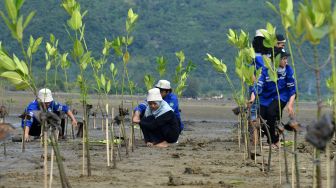 Mahasiswa peduli lingkungan bekerjasama dengan Forum Pintar Untuk Lingkungan Sekitar (RUMPUT LIAR) menanam bibit mangrove di Desa Lambadek, kabupaten Aceh Besar, Aceh, Minggu (7/8/2022). [ANTARA FOTO/Ampelsa/foc]