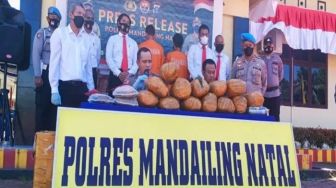 Polisi Gagalkan Penyelundupan 14,5 Kg Ganja Lewat Jasa Ekspedisi