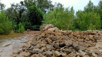 Dikeluhkan Masyarakat, Abrasi di Wilayah Pesisir PPU Butuh Penanganan Serius