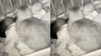 Bayi Nangis Setiap Tidur, Setelah Lihat di CCTV Ternyata Ini Penyebabnya