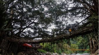 Petualangan ala Film Jumanji di Jembatan Akar, Sumatera Barat