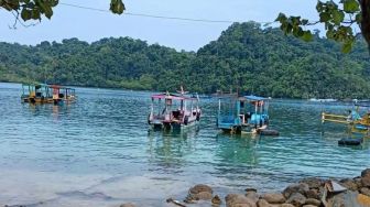 Pengunjung Pantai Tiga Warna Dibuat Takjub Kemunculan Sekelompok Lumba-lumba, Videonya Viral di Instagram