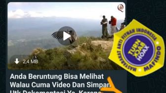 CEK FAKTA: Beredar Video Penampakan Burung Garuda di Gunung Penanggungan Jawa Timur, Benarkah?