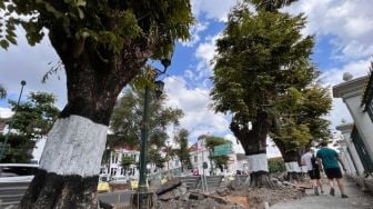 Pedestrian di Jalan Senopati Direvitalisasi, DPUPKP Tidak Akan Tebang Pohon Perindang