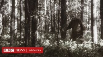 Apakah Makhluk Bigfoot Benar-benar Ada?