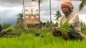 Pandawa Agri Indonesia Bangun Ekosistem Pertanian Berkelanjutan