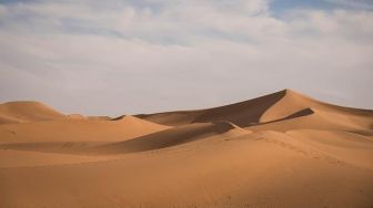 15 Fakta Gurun Sahara, Gurun Terbesar di Dunia