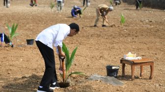 Maksimalkan Lahan Tak Produktif, Presiden Jokowi dan Ganjar Tanam Bibit Kelapa Genjah di Boyolali