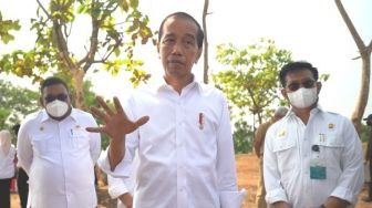 Presiden Jokowi Sebut Stok Beras Nasional Surplus, Buktinya Ada di Petani di Restoran dan Bulog