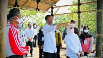 Atasi Mahalnya Harga Pangan, Presiden Jokowi Minta Masyarakat Manfaatkan Pekarangan Rumah untuk Ditanami Cabai
