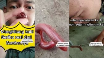 Pria Ini Buktikan Jumlah Kaki Hewan Kaki Seribu Hingga 10 Kali Percobaan