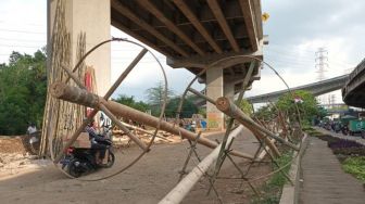 Jelang HUT RI, Pedagang Pohon Pinang di Jatinegara Banjir Pesanan, Harga Rp 750 Ribu-1 Juta