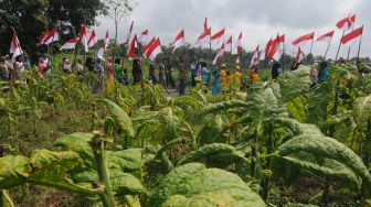 Dear Para Capres, Ada 6 Juta Petani dan Buruh Industri Tembakau yang Siap Berikan Suaranya