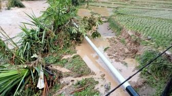 Nagari Garabak Data Kabupaten Solok Diterjang Banjir Bandang, 60 Hektare Sawah Masyarakat Gagal Panen
