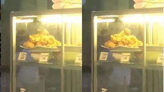 Lagi Enak Makan, Pelanggan Dibuat Tak Berselera Lihat Tikus di Atas Sepiring Ayam Goreng