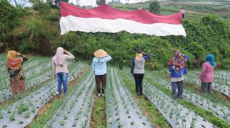 Petani lereng Gunung Merbabu hormat kepada Sang Merah Putih saat pembentangan kain Merah Putih di lahan pertanian lereng Gunung Merbabu, Selo, Boyolali, Jawa Tengah, Selasa (16/5/2022).  ANTARA FOTO/Aloysius Jarot Nugroho
