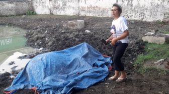 Waduh, Kerbau Keturunan Kyai Slamet Keraton Kasunanan Surakarta Kembali Meninggal, Ini Penyebabnya