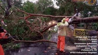 Hujan Deras Disertai Angin Terjang Sukomoro Magetan, Pohon Bertumbangan Tutupi Jalan