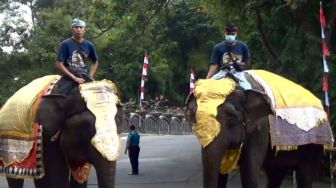 Gajah Sumatera dan Trenggiling Meriahkan Upacara HUT RI di Bali