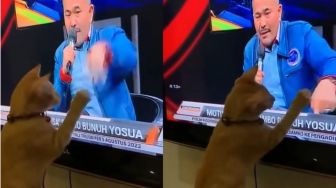 Gemas! Tingkah Kucing Oren Mencet-Mencet TV Dikira Diajak Tos