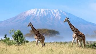 Gunung Kilimanjaro Terkoneksi Internet, Pemancar Terpasang di Ketinggian 3.720 Mdpl