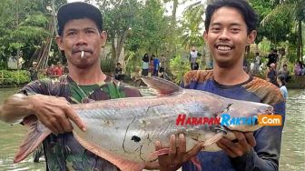 Lomba Ngubyak Balong Meriahkan Semarak Kemerdekaan di Banjar