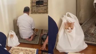 Ikut Salat Jamaah Bareng Keluarga, Kucing Ini Kenakan Kantong Plastik Gantikan Mukena