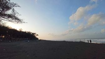 Menikmati Sejuknya Udara Pagi di Pantai Cemara Sewu Kebumen