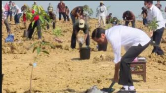 Tanam Pohon Mangga, Penampakan Jokowi Pegang Sekop di Lahan 1 Ribu Hektare di Gresik