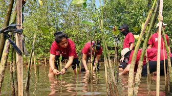 Hanya di Mangunharjo, Satu-satunya Hutan Mangrove yang Masih Lestari di Kota Semarang