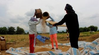 Sitoluama Harvest Festival, Pelestarian Kearifan Lokal