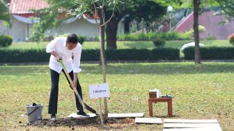 Presiden Joko Widodo menanam pohon saat meninjau revitalisasi Taman Mini Indonesia Indah (TMII) di Jakara, Selasa (23/8/2022). ANTARA FOTO/Hafidz Mubarak