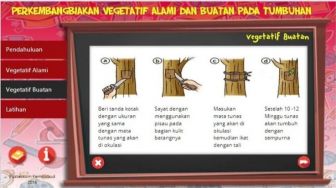 Pengertian Vegetatif Buatan dan Perbedaannya dengan Vegetatif Alami