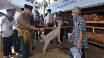 Sandiaga Uno Berikan Bibit Kambing Untuk Bantu Kemandirian Ekonomi Pesantren