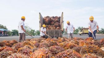 Satpam dan Warga Bentrok di Lahan HGU Kebun Bangun, Begini Respon PTPN III