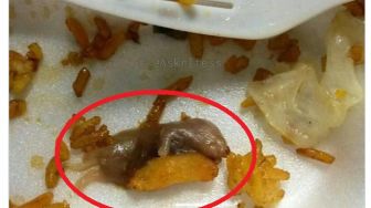 Tinggal Suapan Terakhir, Warganet Temukan Benda Mirip Bayi Tikus di Makanan