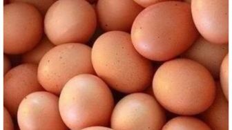 Harga Telur di Muara Teweh Naik Lagi, Tembus Rp32 ribu Perkilo