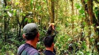 Dikunjungi Belasan Ribu Wisatawan Setiap Tahun, Solok Selatan Ingin Buka Jalur Baru Pendakian Gunung Kerinci