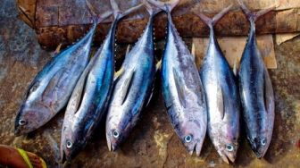 6 Manfaat Ikan Cakalang bagi Kesehatan yang Menjadi Sumber Omega-3!