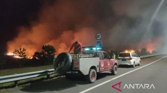 Kebakaran di Lahan Mineral di Ruas Tol Palembang-Indralaya