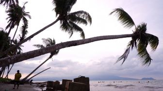 Rencana Pengembangan Wisata di Pantai Holtekamp Jayapura