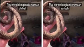 Kocak! Ridwan Kamil Bagikan Tips Jitu Atasi Tetangga Hobi Gibah: Dapatkan Sekarang, Senin Harga Naik