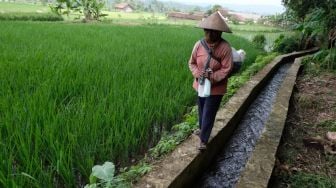 Komitmen Pemprov Jateng Pertahankan Fungsi Jaringan Irigasi